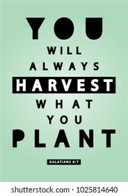 Hand lettering You Will Always Harvest What You Plant. Bible quote. Modern calligraphy. Motivational inspirational quote.