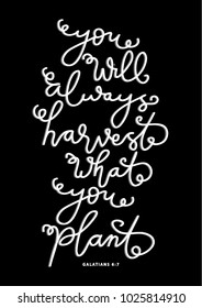 Hand lettering You Will Always Harvest What You Plant on Black background. Bible quote. Modern calligraphy. Motivational inspirational quote.