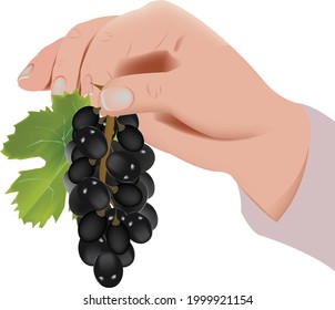hand lifting a bunch of a black one