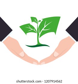 hand lifting leafs plant with arrows