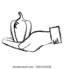 hand lifting pepper vegetable healthy food