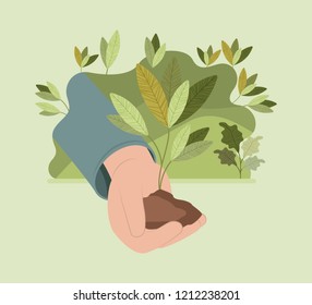 hand lifting tree plant