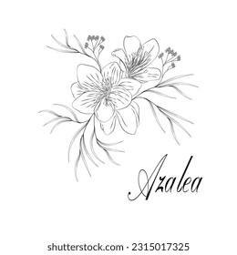 Hand made floral frame. white background. Cherry blossoms and azaleas. Vector design illustration.