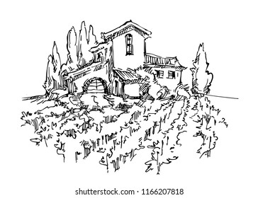 Hand made sketch grape fields and vineyards. Made in vintage style.