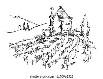 Hand made sketch grape fields and vineyards. Made in vintage style.