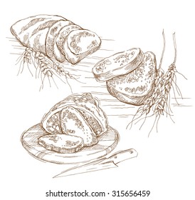 Hand made sketch of spikes and bread. Vector illustration. Usage on bakery theme.