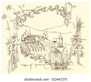 Hand made sketch of vineyard. Vector illustration.