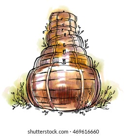 Hand made sketch of wine barrels. Made in vintage style. Watercolor background.