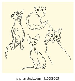 Hand made sketches of cats. Vector illustration.