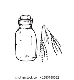 Hand made vector drawing of a bottle. Doodle.