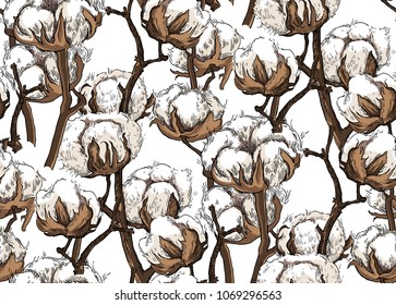 Hand made vector sketch of cotton plants. Seamless patterin of cotton flowers.
