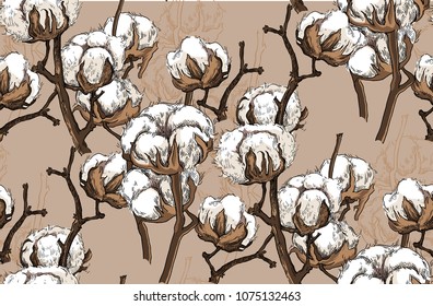 Hand made vector sketch of cotton plants. Seamless patterin of cotton flowers.