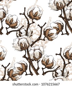 Hand made vector sketch of cotton plants. Seamless patterin of cotton flowers.