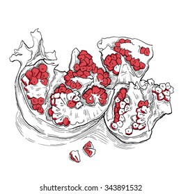 Hand made vector sketch of garnet. Sketch of garnet. Vector illustration. Good for package design. Healthy lifestyle and organic food. Hand made illustration made by ink and paper. Tasty fruits.