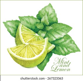 Hand made vector sketch of lemon and mint isolated on white background