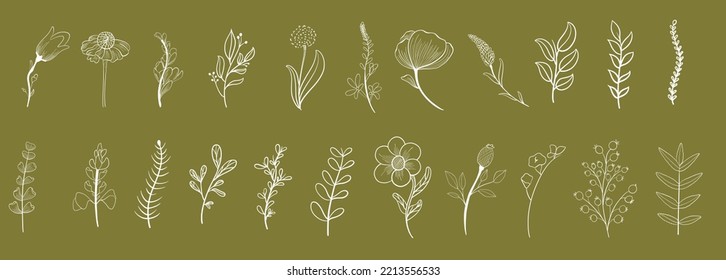 hand made white wildflowers elements  isolated in vector technique on a green background