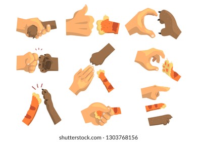 Hand of a man holding animals paw set, animal and human handshake vector Illustrations