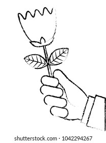 hand of man holding tulip flower romantic gift