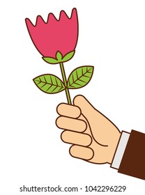hand of man holding tulip flower romantic gift