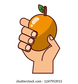 hand with mango on white background
