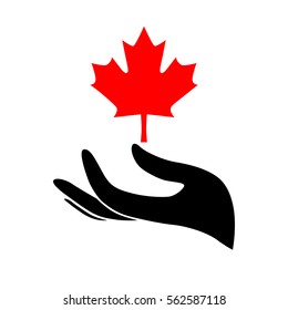 hand with a maple leaf on a white background