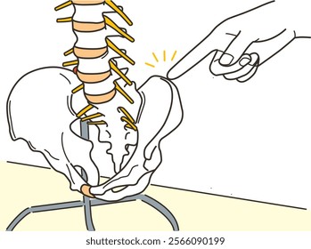 Hand of a medical worker (chiropractor) pointing at a pelvic model