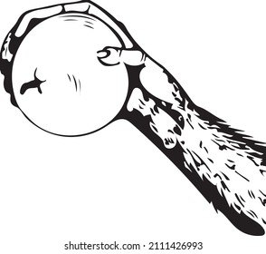 hand of a monkey holding an orange, holding illustration.