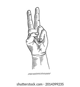 Hand movements. Left hand, 2 fingers up counting. Vector illustration of a vintage retro sketch. Engraving style. black isolated on a white background. vector draw graphic design illustration sketch