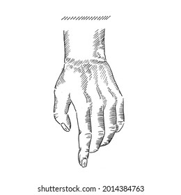 Hand movements.Left hand limp with 5 fingers towards the earth.
Vector illustration of a vintage retro sketch. Engraving style. black isolated on a white background. vector draw graphic design illust