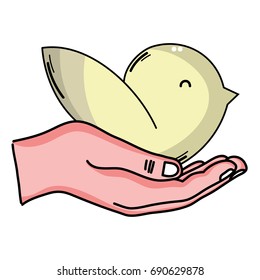 hand with natural bird dove animal with wing