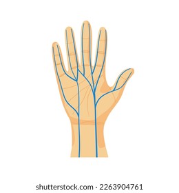 Hand nerves in flat design on white background.