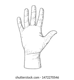 Hand on a white background for palm reading design. Hand drawn. Vector.