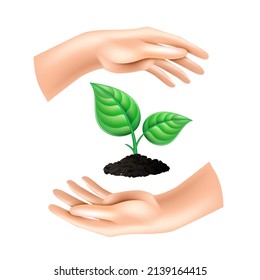 Hand open palm holds the sprout. The concept of ecology of conservation and growth. Color vector illustration Isolated on white background.