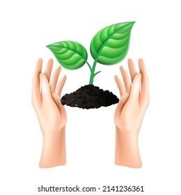Hand open palm holds the sprout. The concept of ecology of conservation and growth. Color vector illustration Isolated on white background.