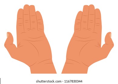 Hand Open Palm Vector Cartoon Flat Illustration Isolated On White Background.