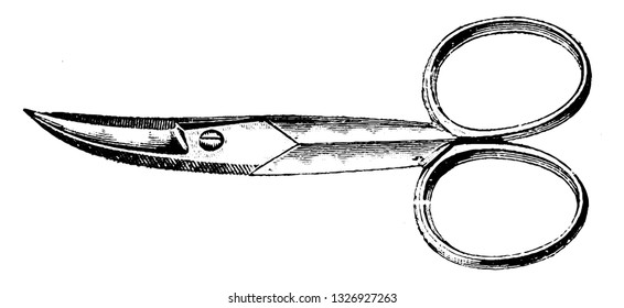 It is a hand operated shearing tool. Consist of a pair of pointed metal blade i.e.. pivoted, vintage engraved line art illustration. Bicycle Accessories - 1900