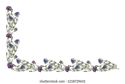 Hand paint frame of  flowers made in vector