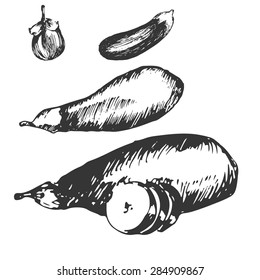 Hand paint set of eggplant sketch. vector illustration