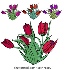 Hand paint set of violet and red tulips. Vector illustration