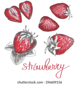 Hand paint strawberry sketched set.Could be used for template, pattern, wallpaper, background