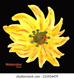 Hand paint watercolor flower made in vector on black background. Perfect hand paint wreath for invitations, cards, textile, fabric or for any other kind of design. Bright summer illustration.