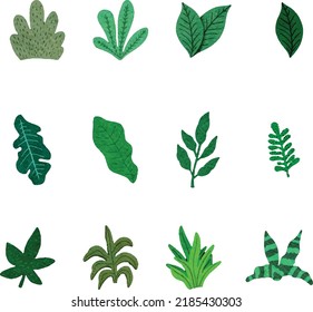 Hand Paint Watercolor Leaves Element Set  