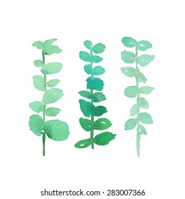 Hand painted abstract eucalyptus baby blue branches. Watercolor painting.
