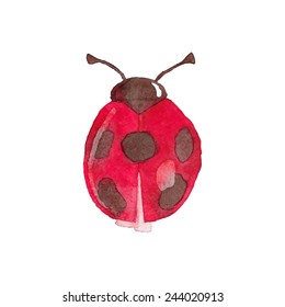 Hand painted aqua color ladybird pattern background. Watercolor bug template.