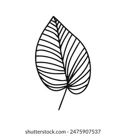 hand painted botanical leaves  isolated on white background