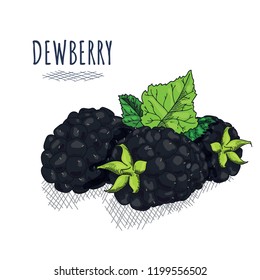 hand painted color vegetables