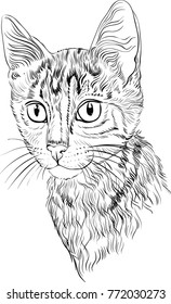 Hand painted cute cat for coloring books