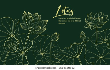 Hand painted elegant linear illustration of Lotus pond Lotus flowers on a dark background