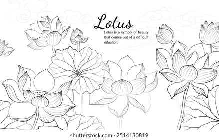 Hand painted elegant linear illustration of Lotus leaf Lotus on a light background