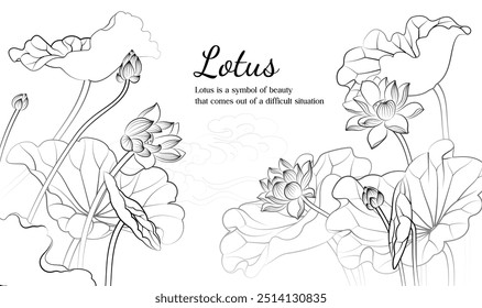 Handgemalte elegante lineare Illustration von Lotusblumen auf hellem Hintergrund